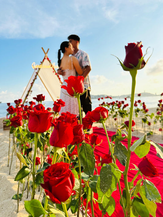 Propuesta de noviazgo en Acapulco - Paquete ¿Quieres ser mi novia?